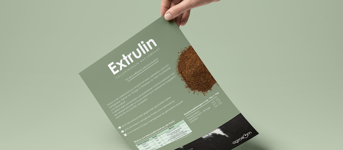 Extrulin Flyer